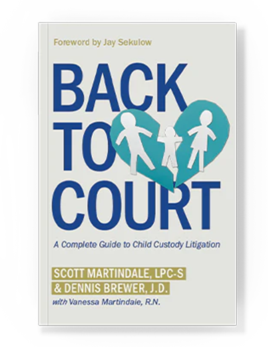 Back to Court: A Complete Guide to Child Custody Litigation